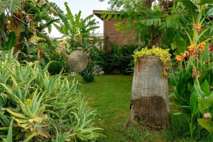 Naturelife Bungalows&Spa